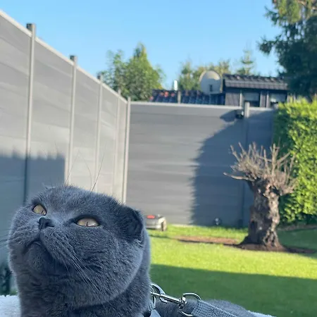 Holzhaus Am Listersee 펜션