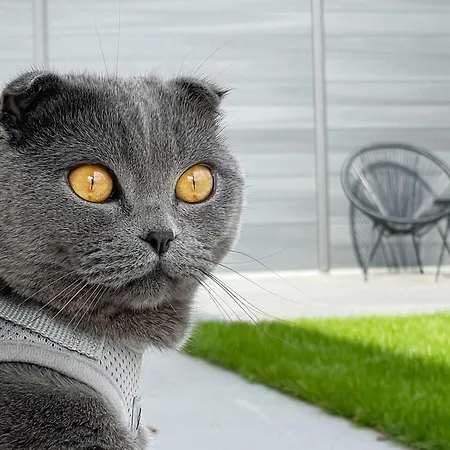 Holzhaus Am Listersee 펜션 *