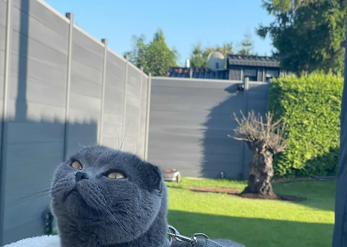 Holzhaus Am Listersee Casa de Férias