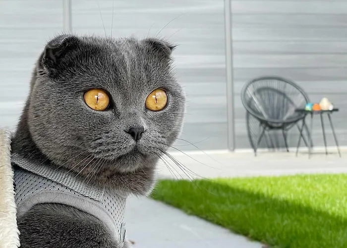 Holzhaus Am Listersee Tatil Evi *